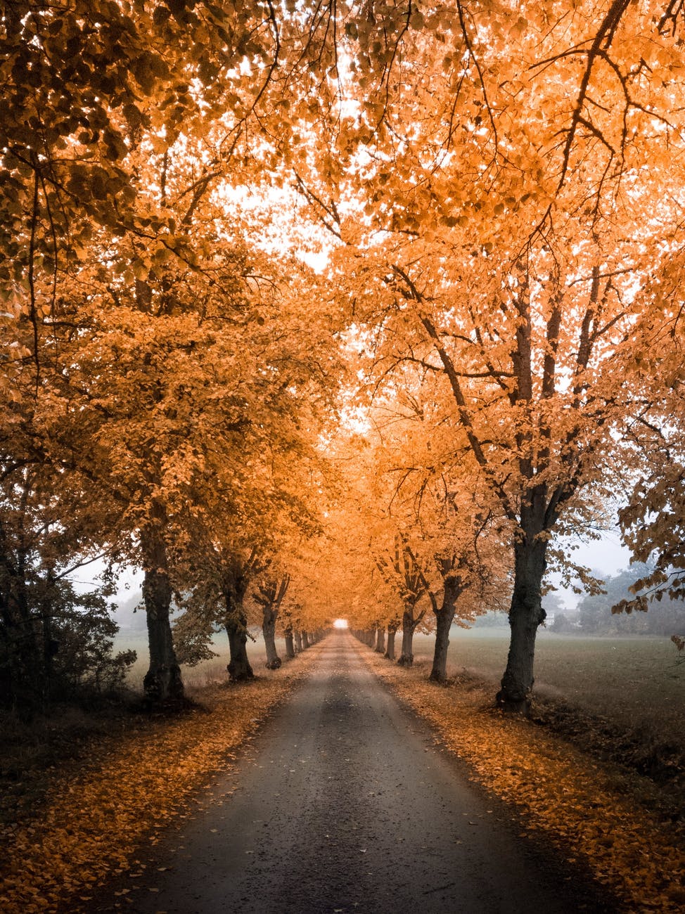 In the Beginning – Episode 1 – The Missing&nbsp;Personality