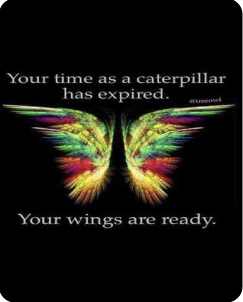 Day 39 – On a personal Note –&nbsp;8/24/23